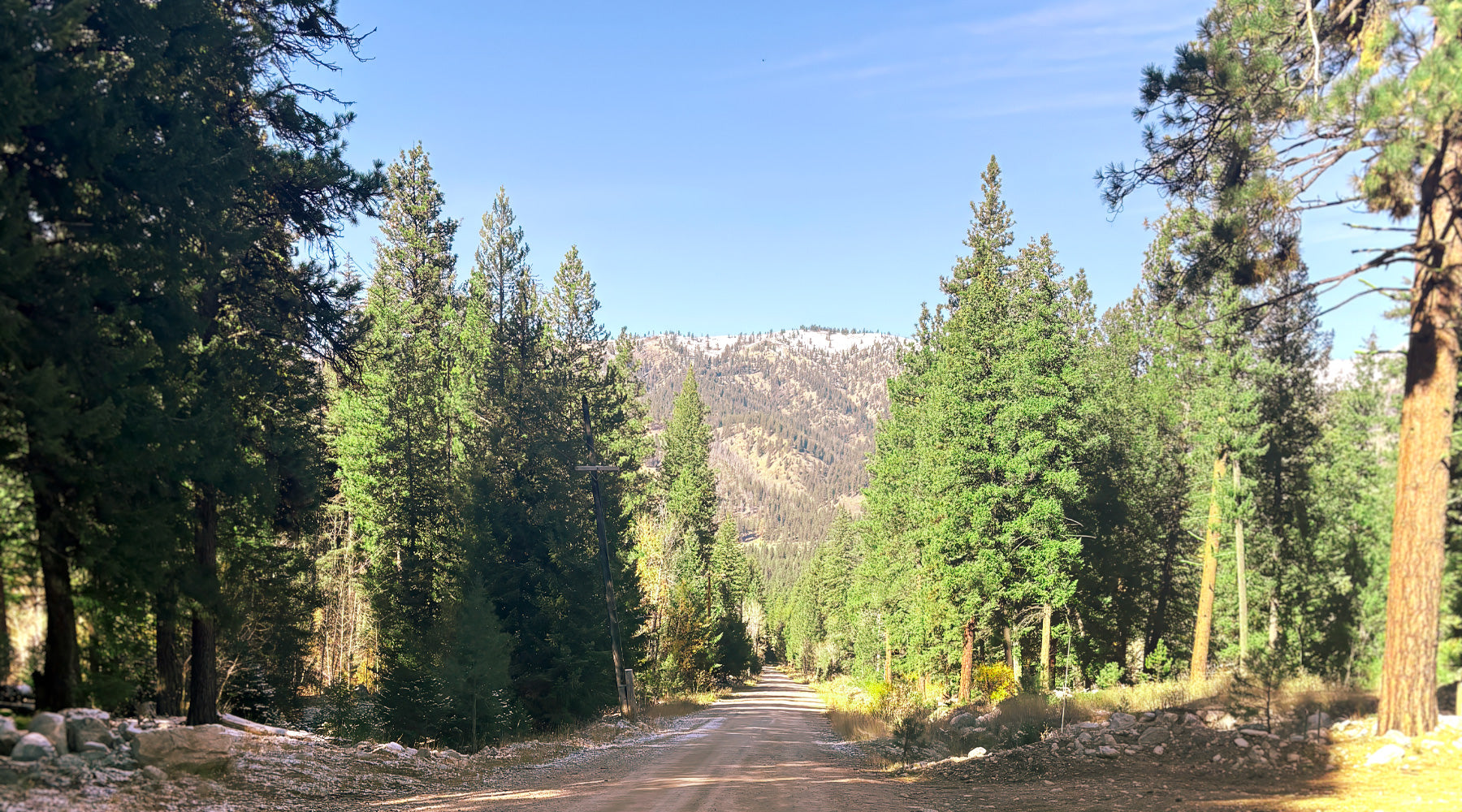 swrve Reaches the Twenty-Year Evolutionary Arc