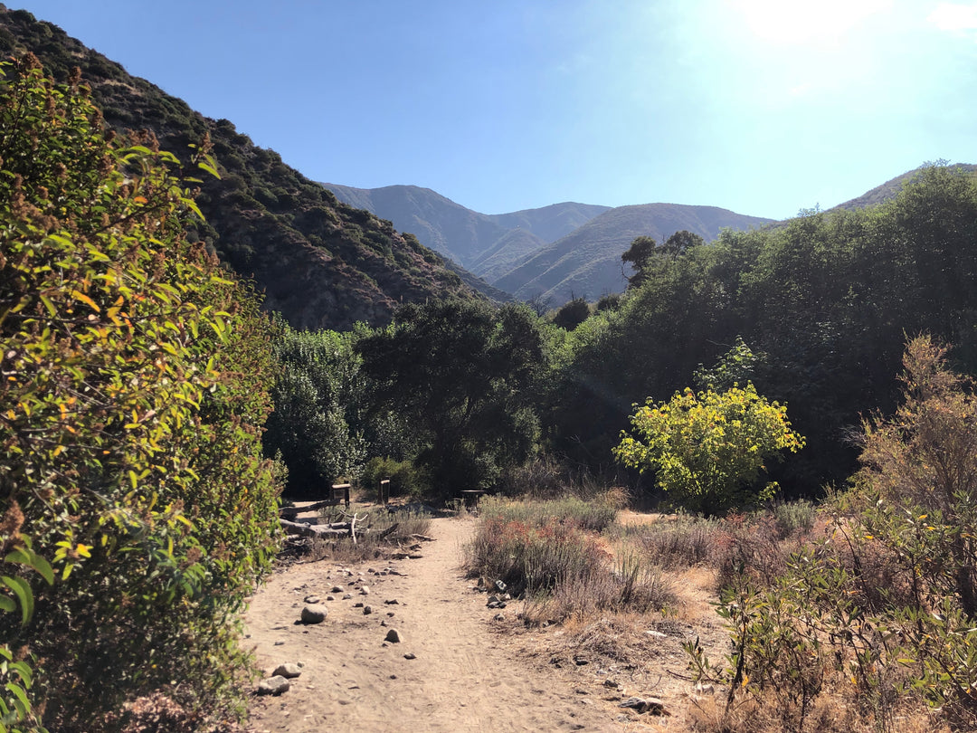 Our Favorite Local Los Angeles Hikes and Rides